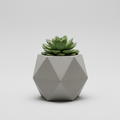 Geometric Plant Pot – Home & Living product photo