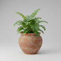 Rustic Plant Pot – Home & Living product photo